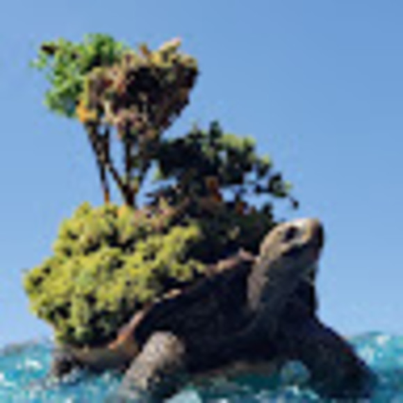 Meet your Posher, Aaron - Picture 1 of 1